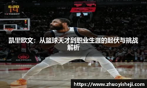 开云电竞官网